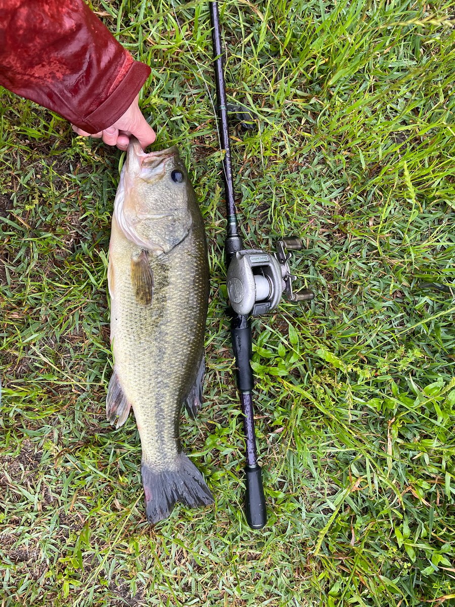 Weva ウェバ 原田さんから釣果報告頂きました 釣行日 21 5 16 場所 岡山県 笹ヶ瀬川 天気 時間 気温 水温 風 ルアー レイドジャパン ブルタンク Size 43cm Weight G 岡山 岡山バス釣り バス釣り ブラックバス