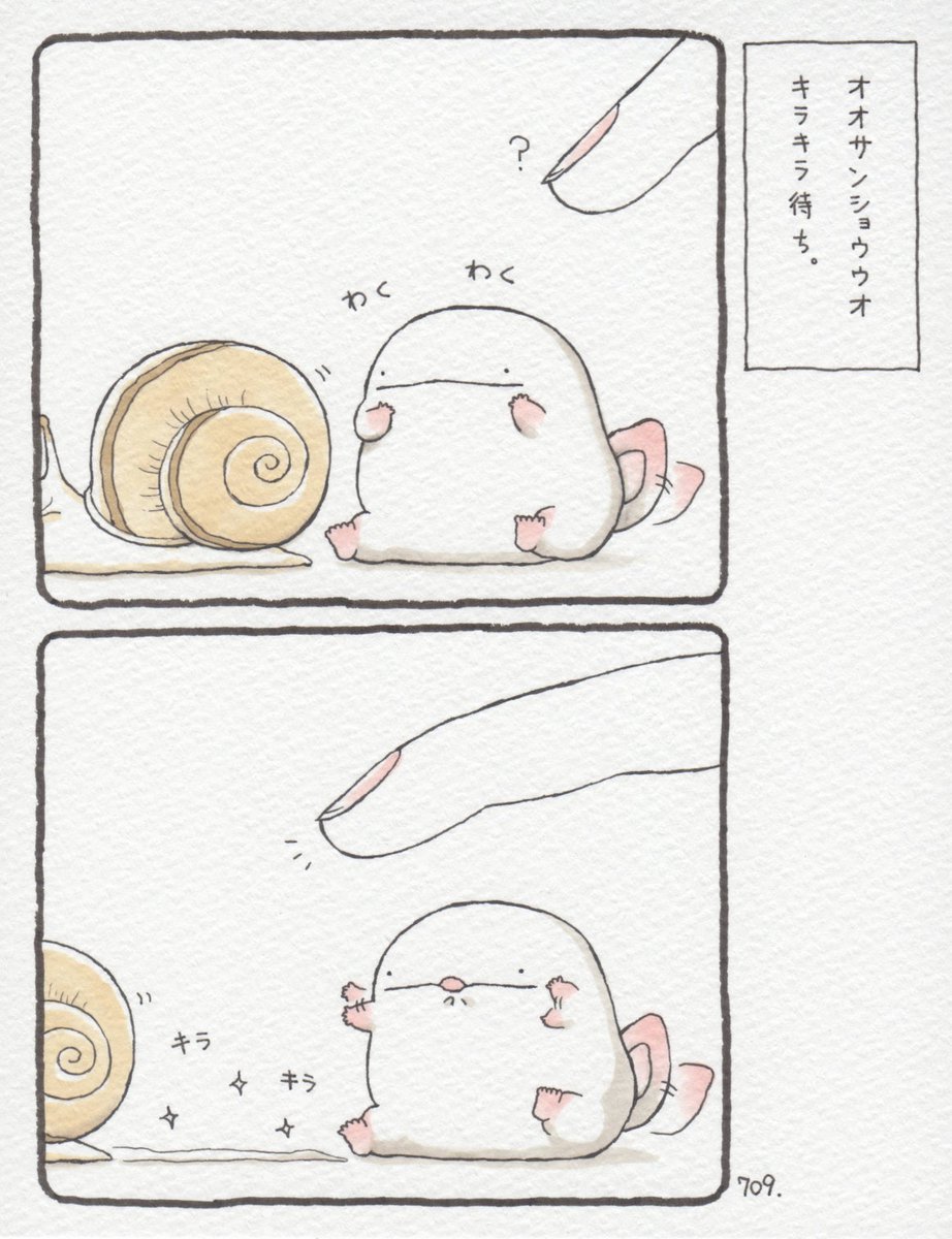 オオサンショウウオ、キラキラ待ち。 