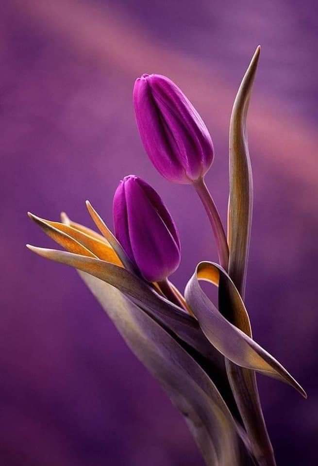 Foto by <a href="/TLeoni311/">࿐❥𝖳𝖾𝗋𝖾𝗌𝖺 𝖫 ࿐❥ </a>