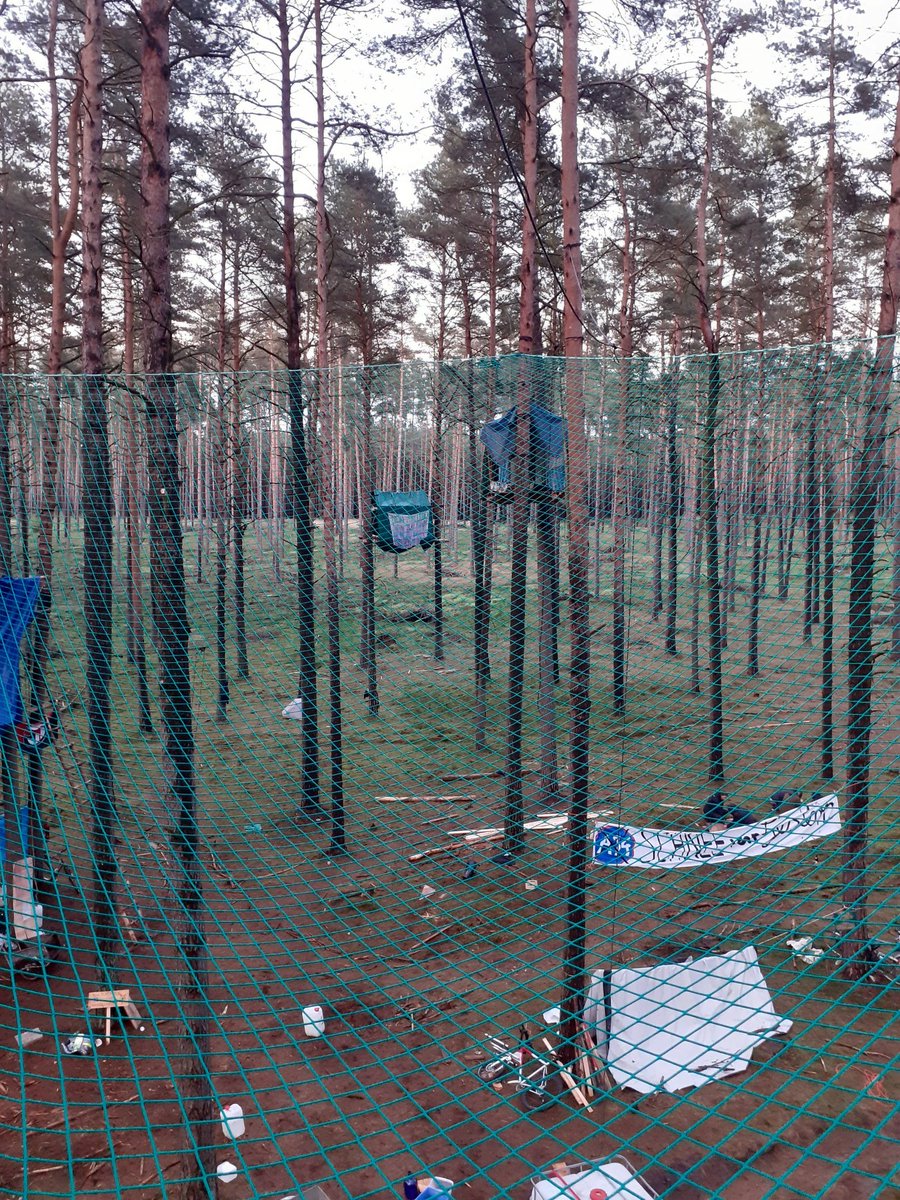Greetings from Moni.
#WaldStattasphalt #BaümeStattPolizei