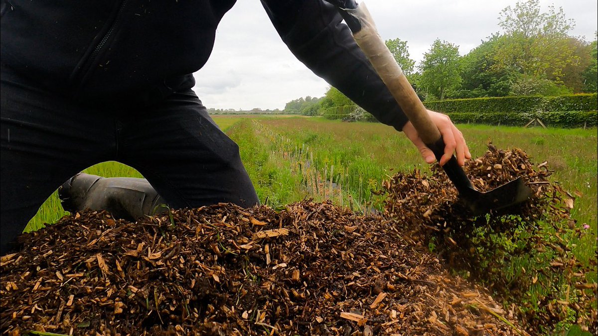FarmViewUK's tweet photo. The circle of life: Wood chips from a fallen tree spread to protect new hedgerow
A few more photos, a few more showers #FarmviewUK https://t.co/lXCDzBm3oz