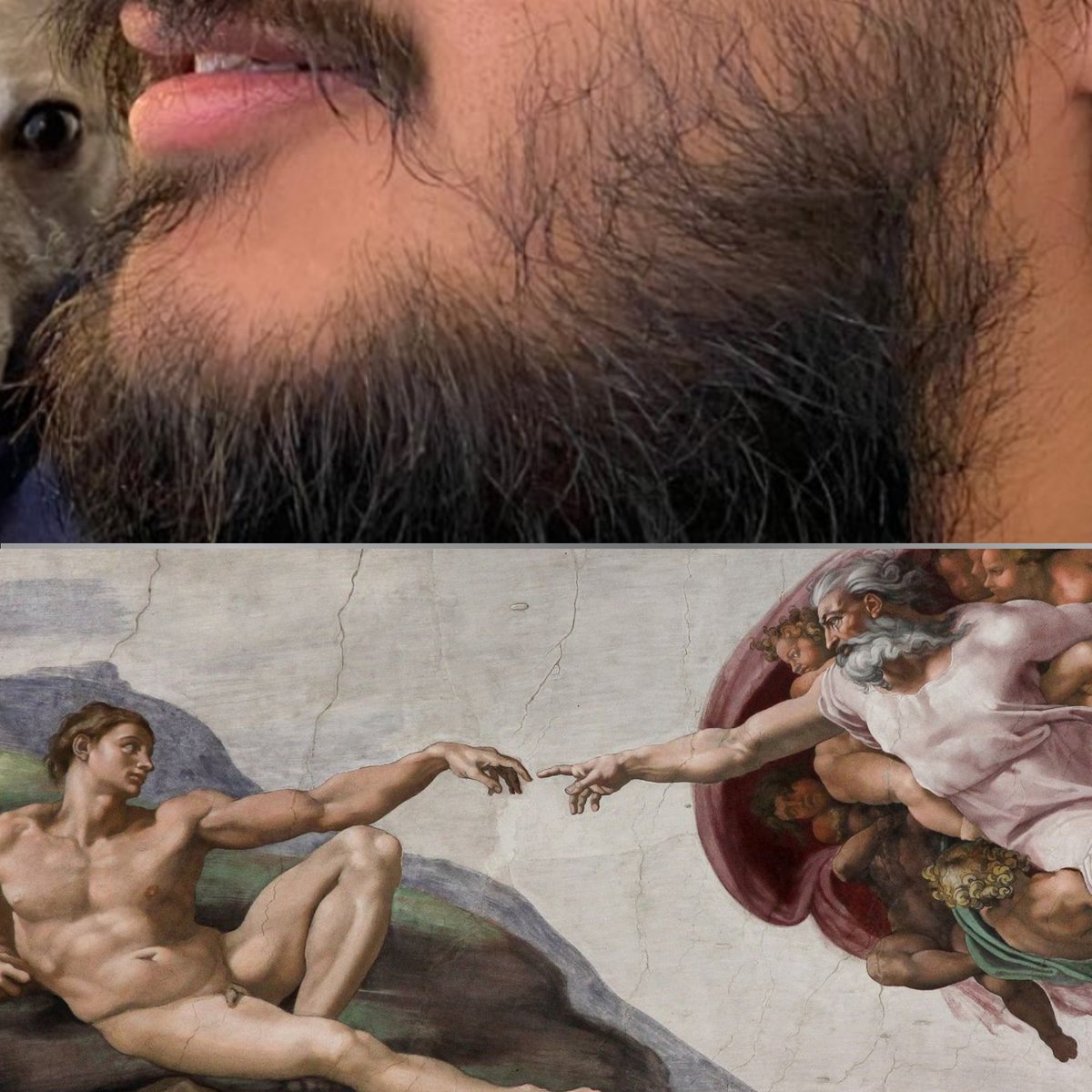 SchubiDubiLenn's tweet photo. @zfcyanide I'm not sorry. https://t.co/yI6tE8njM4