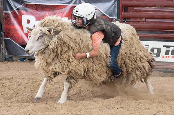 SentinelMagColo's tweet image. SENTINEL MUSE: Arapahoe County Fair gets ‘back in the saddle’ July 22-25 ow.ly/h0Z850EUX3w 

#COArts #AuroraCO #COVID19Colorado  #SentinelMuse