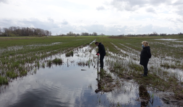 greifswaldmoor's tweet photo. Lithuania🇱🇹 secured 16 Mio € for rewetting 8000 ha of #peatlands under agriculture i.a. with #paludiculture from 🇪🇺#RRF. Great recognition of their role as #NatureBasedSolution for #ClimateAction and resilient societies - Congratulations! 👉https://t.co/xMRxZY09bZ https://t.co/L1Eg9AETjQ