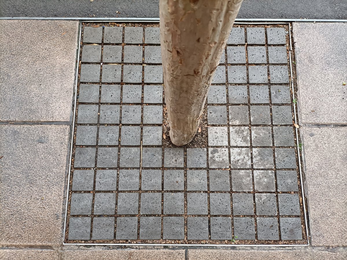 fotomatiques's tweet photo. Octavi Prades Dalmases. "Arrel quadrada" @escolaanoia
Accèssit ESO12 #22fotomatiques https://t.co/2jAKHm4BQE