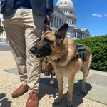 Photo by Purina Dog Chow (@dogchow)