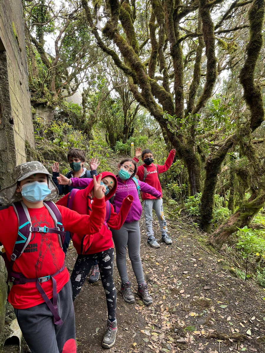 Aguere70's tweet photo. La Manada Atacaite se va de pateo 🐾, este fin de semana nuestras lobatas y lobatos han hecho una excursión, en la que disfrutaron de las alucinantes vistas que nos ofrece el Parque Rural de Anaga. 🌲🌱🌿

#ManadaAtacaite #ReservaDeLaBiosfera #SentimientoAguere https://t.co/vsfg6sLKfq