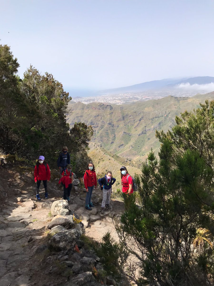 Aguere70's tweet photo. La Manada Atacaite se va de pateo 🐾, este fin de semana nuestras lobatas y lobatos han hecho una excursión, en la que disfrutaron de las alucinantes vistas que nos ofrece el Parque Rural de Anaga. 🌲🌱🌿

#ManadaAtacaite #ReservaDeLaBiosfera #SentimientoAguere https://t.co/vsfg6sLKfq