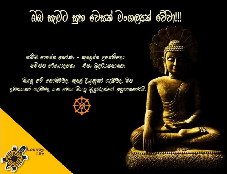 Countrylifesri1's tweet photo. Peaceful &amp; Happy Vesak Poya Day! #countrylifesl #buddhist #peacefull #buddhism #religious #vesak #poyaday #peace #happy #colombo #srilanka🇱🇰 #SriLankan https://t.co/M70OJChXKf