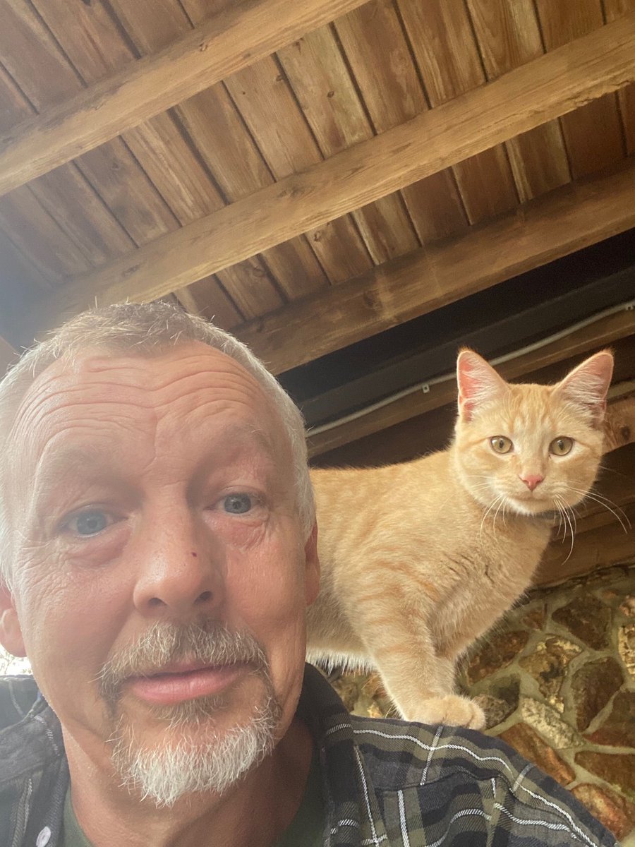 Countrysidepet's tweet photo. ⭐️National Pet Month⭐️
Here is Denver and Ted!  These two pretty boys belong to Bob and Heather Hill! 
1. Denver talks a lot! 
2. Denver likes to ride the 4-wheeler 
3. Denver has BEAUTIFUL blue eyes!
4. Ted is our lover boy
5. Ted thinks he is a dog  #nationalpetmonth https://t.co/DdK2fcfEiH