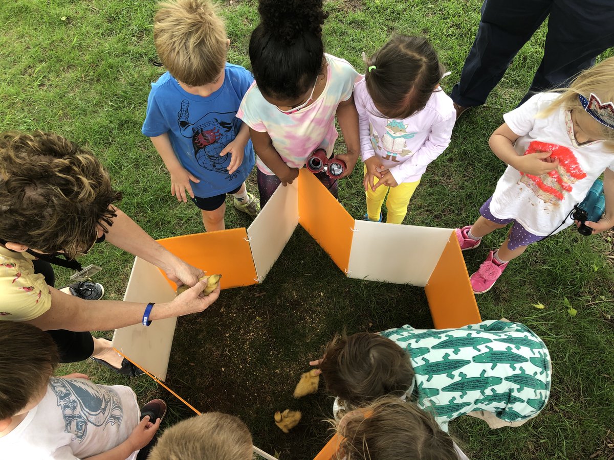 USMLowerschool's tweet photo. Day 2 of the @lifeatusm PA WOW fun. PK, foam, and ducklings (courtesy of our @Stacy_Peterson3 kinder friends) - it doesn't get better than this! @gbongiorno @jenkep https://t.co/Z34zpKFllm