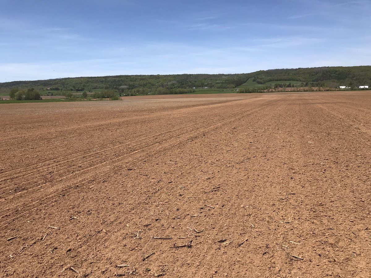 First time planting this as a single field.  Took a couple years to get us here. 4 fields made into a 91ac block very rewarding