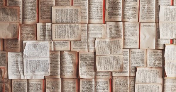 POLITIQUE > <a href="/EmmanuelMacron/">Emmanuel Macron</a> s'engage pour le prix unique du livre et les frais de port buff.ly/34dJvIl #edition #politique #prixunique