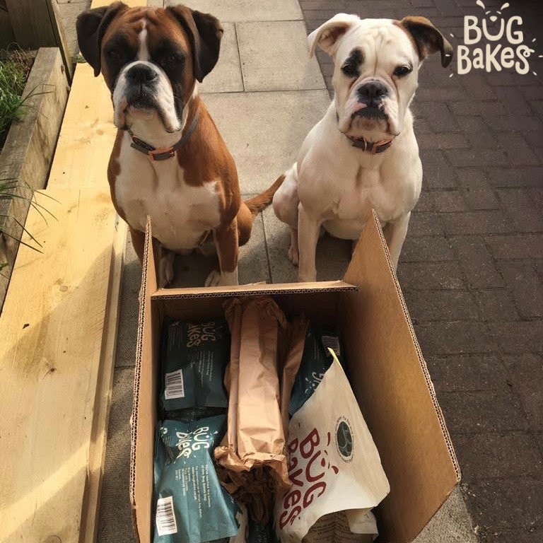 Ezzy and Dolly's favourite day of the month... food delivery day😍

#bugbakes #dogfood #ecodogfood #ecofriendly #eco #ecodog #sustainable #sustainableliving