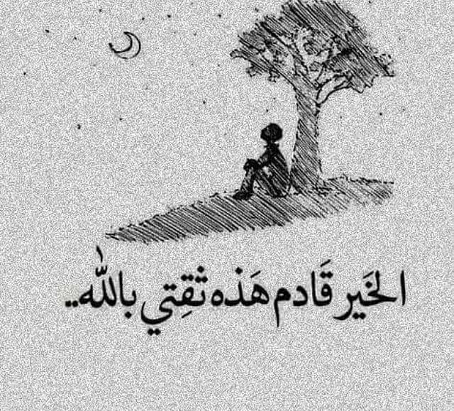 ShamsSky1's tweet photo. https://t.co/PIqBRVJ6em