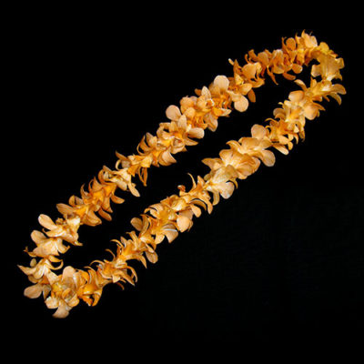 roses_just's tweet photo. Do it now!!! Last day to order orchid leis for your 2021 graduates! Pre-orders are being taken until 6pm tonight. Call either store: Kennewick (509) 783-7673 or Pasco (509) 547-5002. 

#justrosesflowersandmore #leis #Graduation2021 https://t.co/gr273Wv1rZ