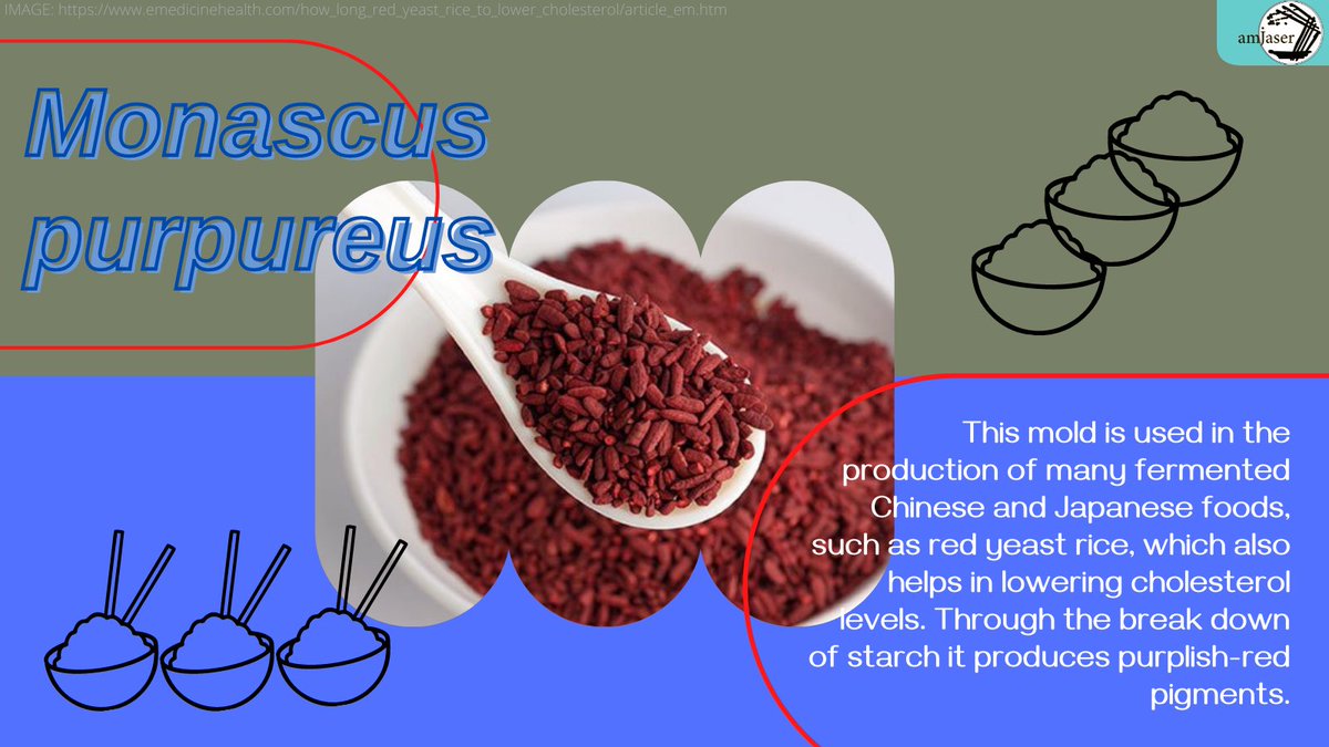 Red yeast rice? #rice #china #asia #japan #food #foodie #gastronomy #foodtourism #mold #fungi #mycology #tourism #cholesterol #science #research #pigments #red #purple #fermentedfoods #starch #breakdown #loverice #ricelovers #scientist #newdiscoveries #didyouknow #microbiology
