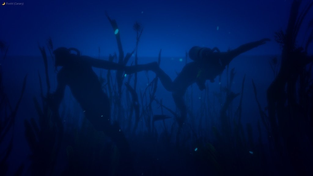 BlueBearNetwork tweet picture