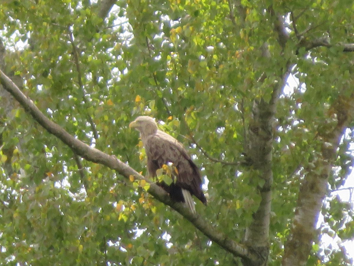 Eike Usher tweet media