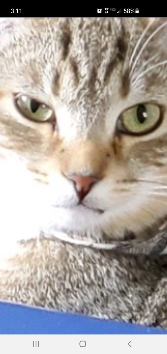 LttleMouse93's tweet photo. @ellle_em https://t.co/Wf6dH8UxZ2