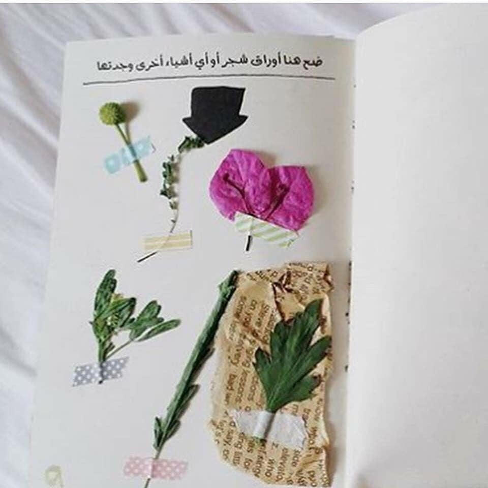 Zadbooksd's tweet photo. #أتلف_دفتر_اليوميات_هذا
نوع يختلف عن الكتب ،كتاب تخريبي مصور، تحوي صفحاته على اوامر يقوم القارئ بتنفيذها، صمم لطرد الطاقات السلبية و الملل
للكاتبة #كيري_سميث
🟢متوفر الان 🟢
🗞️ السعر 950 جنيه
📚💖 كتابك ��بابك _ زاد بوك استور
📚💖♨️🗞️ أكبر متجر online للكتب في السودان 📙 https://t.co/Rwmo2MZA5d