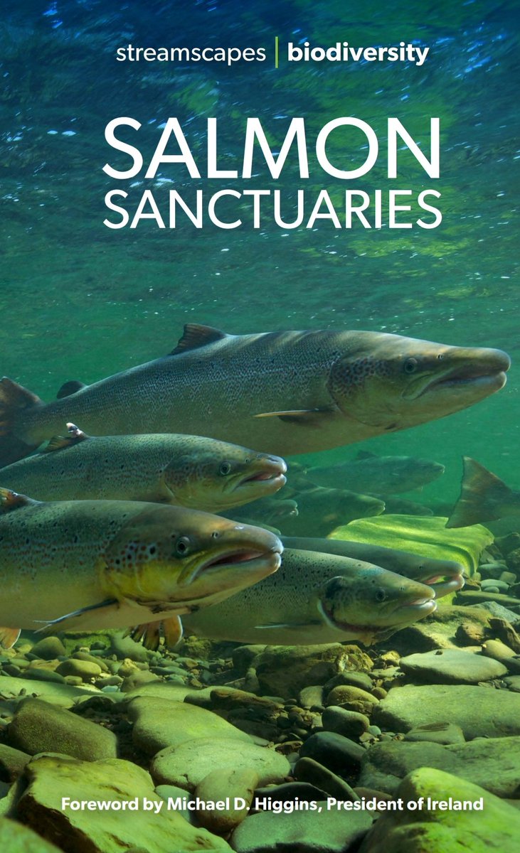 bridcolhoun's tweet photo. Fantastic resource from @StreamScapes and with a foreword from @PresidentIRL no less!!! Well done to all involved 👏👏👏
Have you salmon in your local river?Learn more about this treasure by viewing the new StreamScapes booklet, ‘Salmon Sanctuaries’
https://t.co/V4xQQGuU0B https://t.co/nKcd7ffE3W