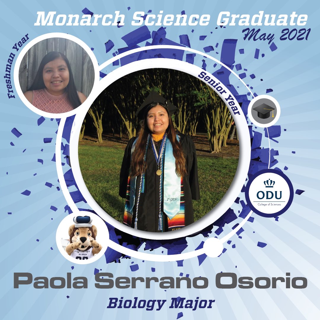 ODUSCI's tweet photo. A round of applause to Paola  and all College of Science graduates. We are so proud of our Monarchs! 💙  @BIOLOGYatODU #ODU #MayGraduation #Grad2021 https://t.co/34PTyUm4wu