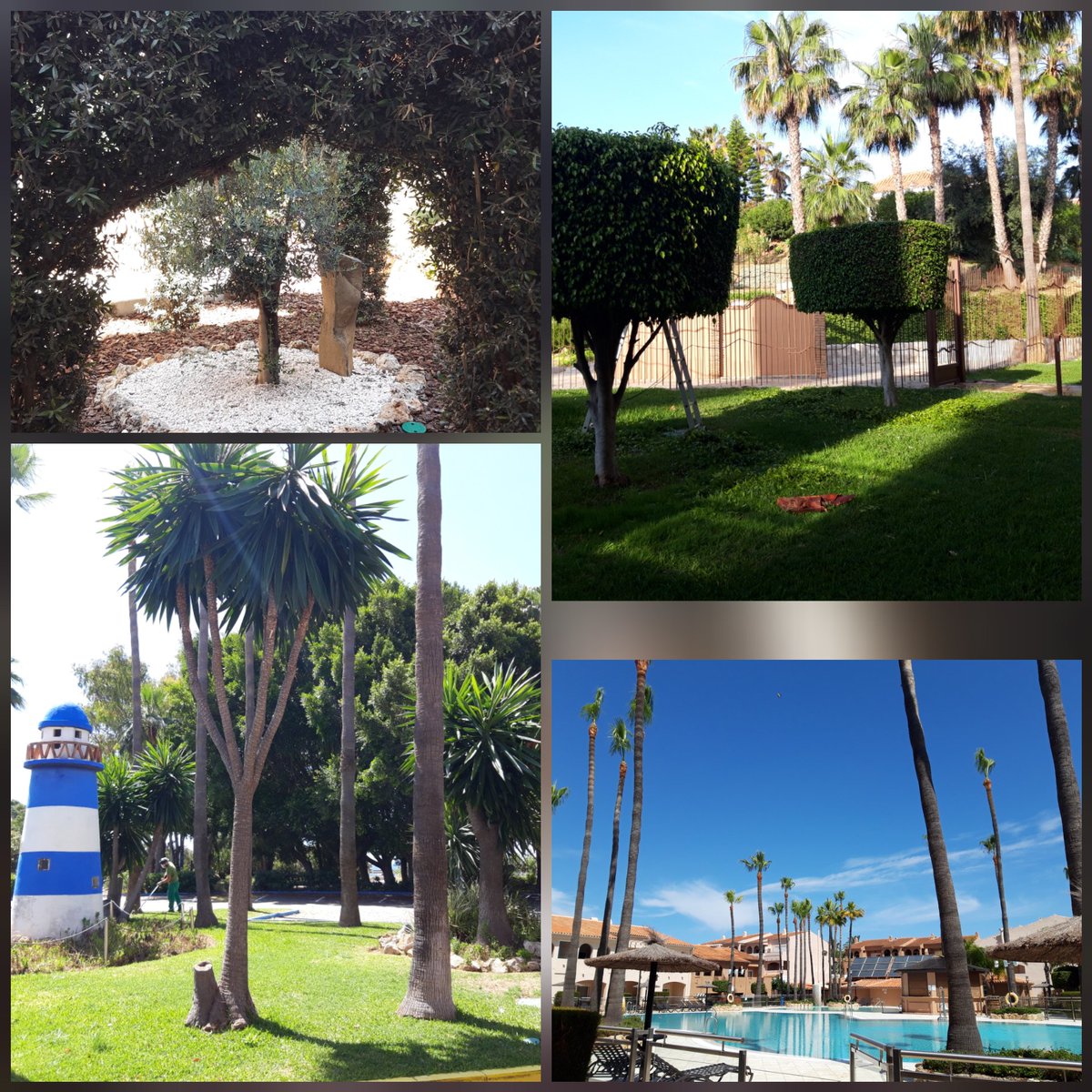 Natalie Gil tweet media