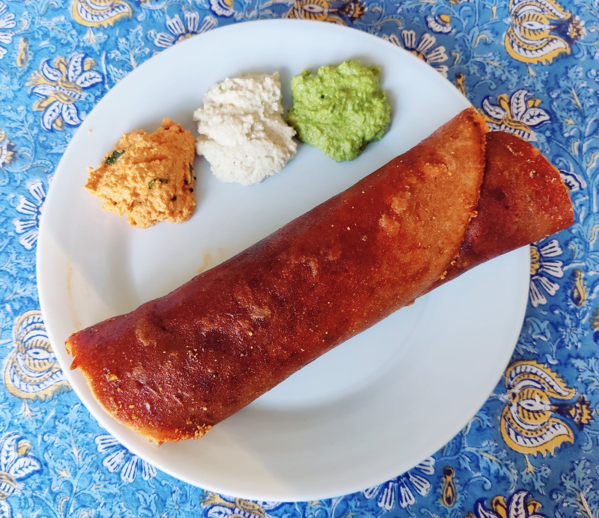 Sophie Ross tweet media