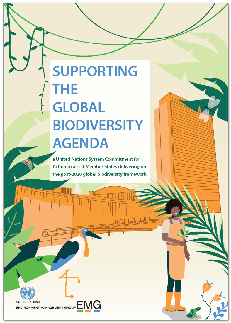 RT @UNBiodiversity 🚨 #HappeningNow: High-level virtual dialogue on the UN system’s contribution to the #Post2020 Global #Biodiversity Agenda

Join leaders from around the world to mark the launch of a new @UN_EMG report on the road to #COP15.

🔴 LIVE: https://t.co/kFfjqFwp5n

#ForNature