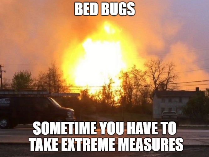 Extreme_Heat_PC's tweet photo. When we say #GetExtreme, we don't mean THAT extreme😆!
Trust the only company in DelMarVa specializing in #bedbugs. That's all we do!
The first to use heat.
The first to use K9 detection.
Extreme Heat Pest Control
Your Bedbug Solution!
DE, MD, VA, PA, NJ
#home #Health https://t.co/TLVByCiLM4