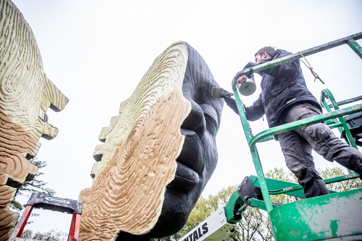 PopperDaniel's tweet image. Focused on the details #HumanNatureArb @MortonArboretum