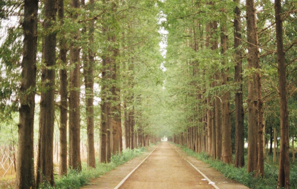 jerusalemprayer's tweet photo. "In all your ways acknowledge Him, and He will make your paths straight."
—Proverbs 3:6, BSB https://t.co/rrNBC6WQLK