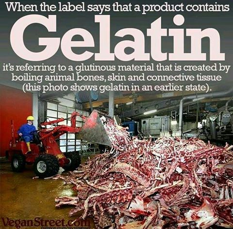 _AnimalAdvocate's tweet photo. Do you eat #candy?🍭🍬
If it contains gelatin, it's made from the prolonged boiling of skin, bone and cartilage🤮
Basically anything left🤢

Sign to #BanFactoryFarming🙏
 https://t.co/zLuYUr5imp

Go #vegan💖

@rickygervais @Ivy_MiddletonUK @Protect_Wldlife @PeterEgan6 @Animals1st https://t.co/35iZHfDK9Z
