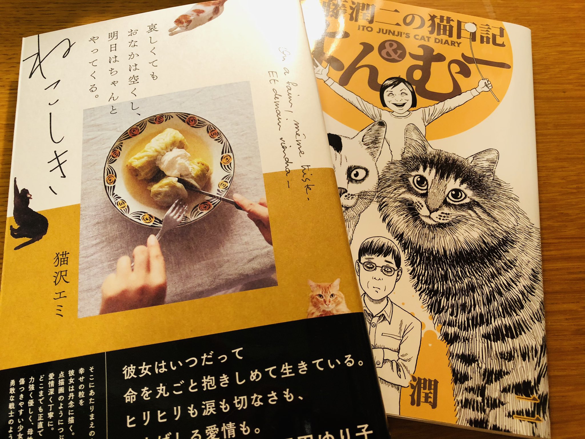 伊藤潤二の猫日記 Twitter Search Twitter