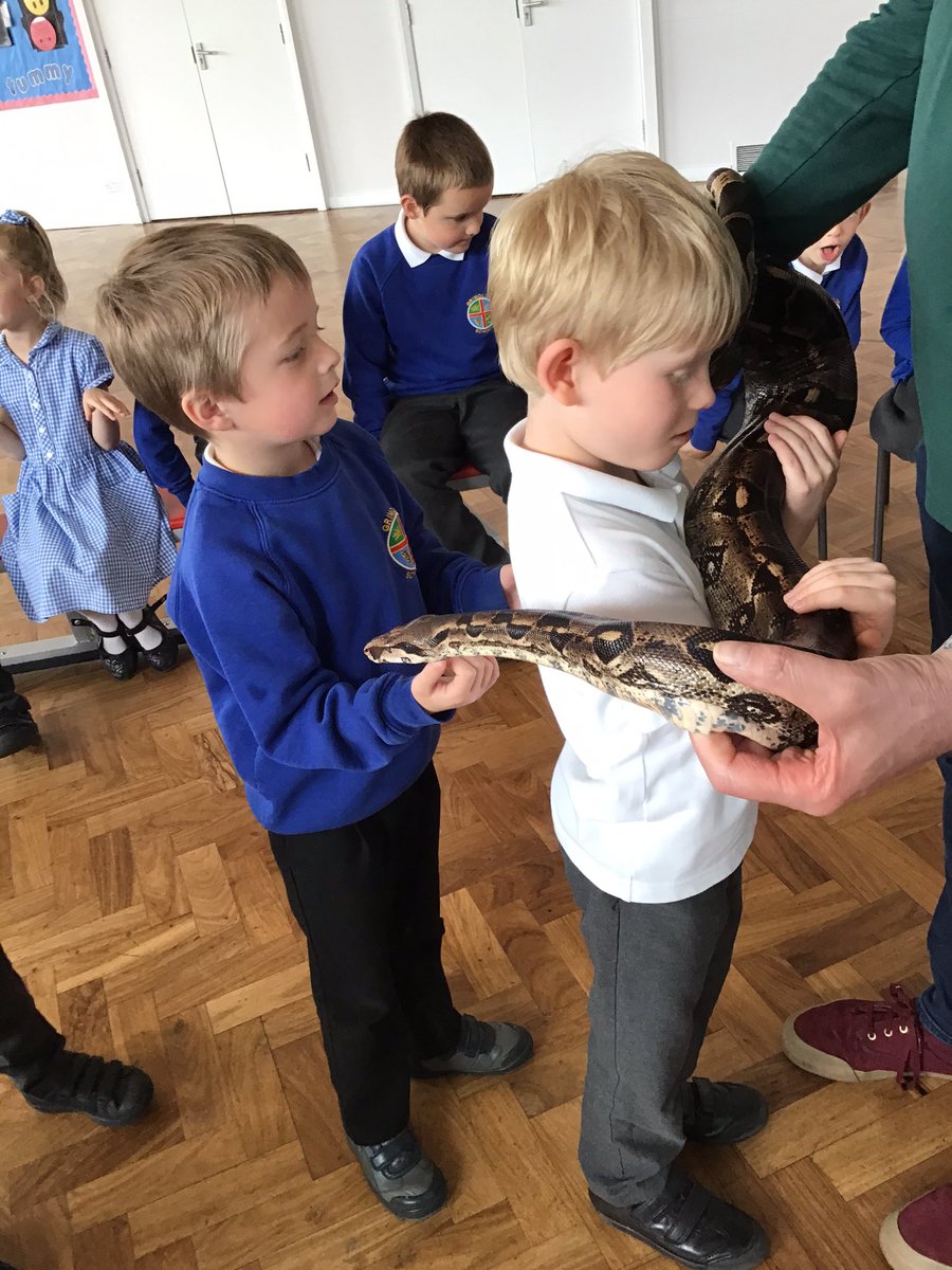 grimoldby_6's tweet photo. What a morning! The children in Year 1 have had the chance to ‘Meet The Beasts’ @MeetTheBeasts #snake https://t.co/yIo003AxWQ
