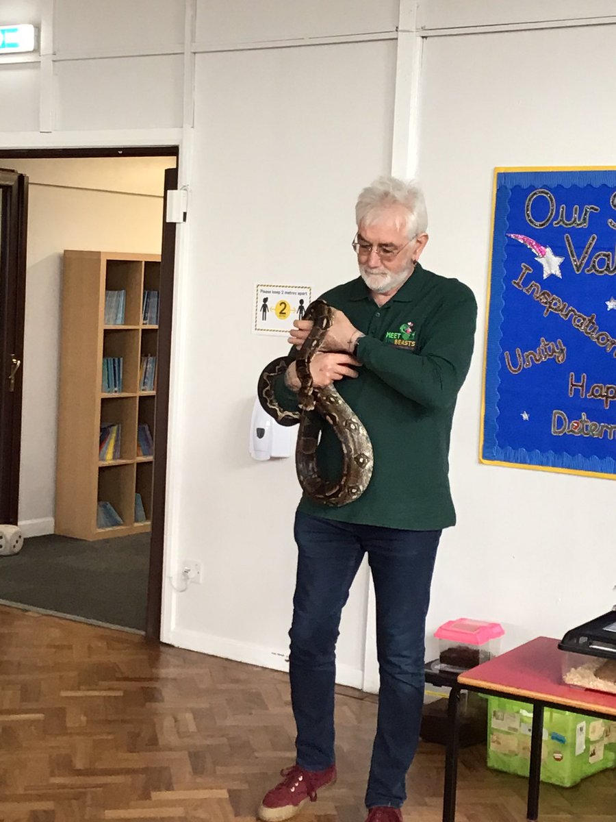 grimoldby_6's tweet photo. What a morning! The children in Year 1 have had the chance to ‘Meet The Beasts’ @MeetTheBeasts #snake https://t.co/yIo003AxWQ