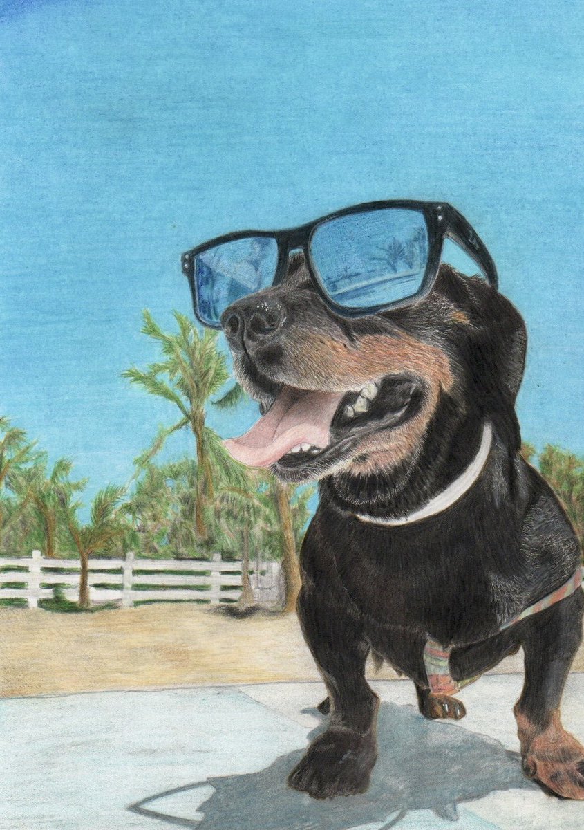 いとしん A Twitter 海に行きてぇ イッヌ 色鉛筆 色鉛筆イラスト 犬 夏 サングラス いとしん A Twitter 海に行きてぇ イッヌ 色鉛筆 色鉛筆イラスト 犬 夏 サングラス