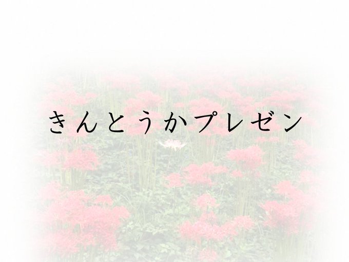 きんとうかのtwitterイラスト検索結果 きんとうかのtwitterイラスト検索結果