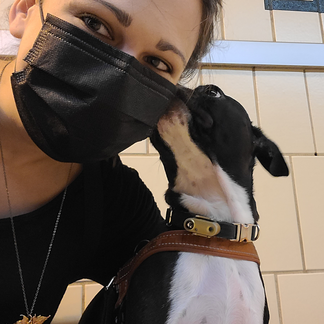 GarytheGremlin's tweet photo. "Attenshun plz! 🚨 Dis iz a Gremmie PSA 🚨 Frends ov #Toronto - If ur gunna @takethettc rememer 2 wear ur mask. (Don't werry, I'm under 5 yers old so I'm exemt.) But eberywun else: u gotta #wearamask! Eben if u got ur COVID baccination 💉💉. Letz protekt wun anover ❤." https://t.co/sfhvXSGJMQ