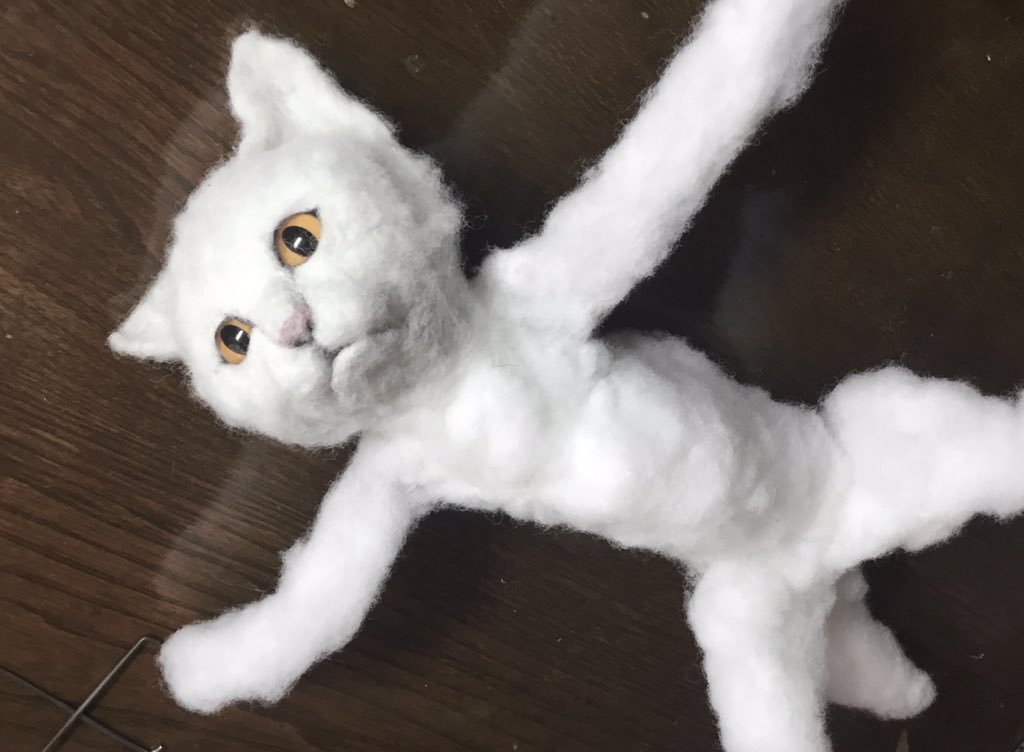 Twoucan 今日は猫 の注目ツイート イラスト マンガ コスプレ モデル