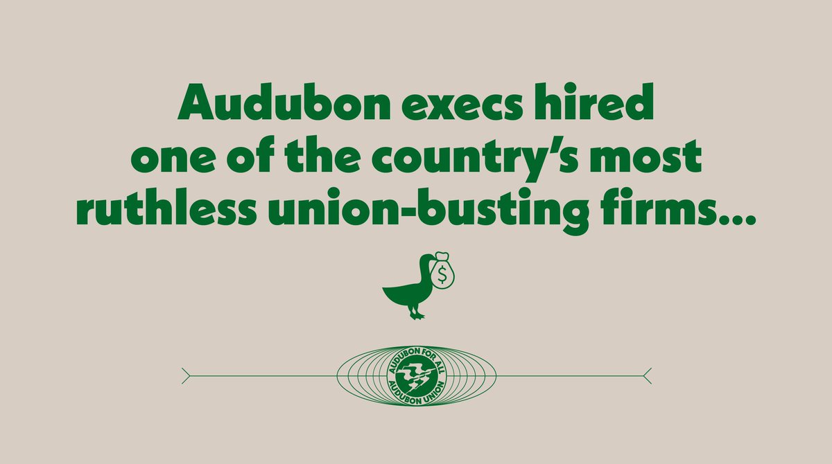 The Bird Union 🪶 tweet media