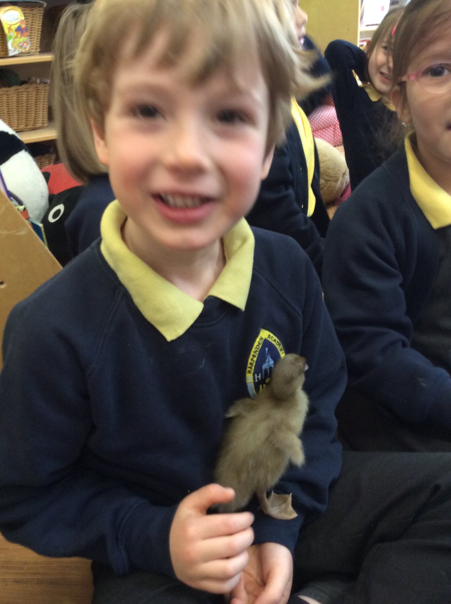 HarpAcademy1's tweet photo. Elmer class took a trip to the Ladybird's classroom today to learn about the ducks so that we could write a recount. We learnt lots of fascinating information and enjoyed a cuddle too #firsthandlearning #science #English https://t.co/CDPAvmCN0d