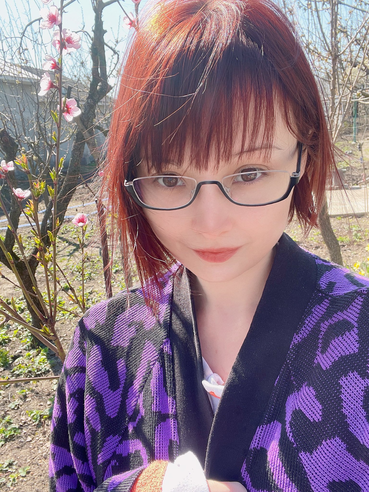 Hidori Rose'S Private Life Exposed: Shocking Revelations - omdlq5l