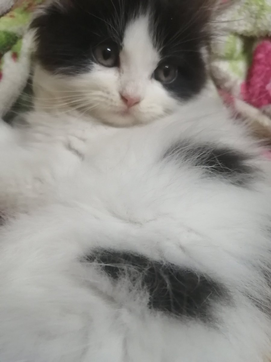 Juliaa Juliageorge Twitter