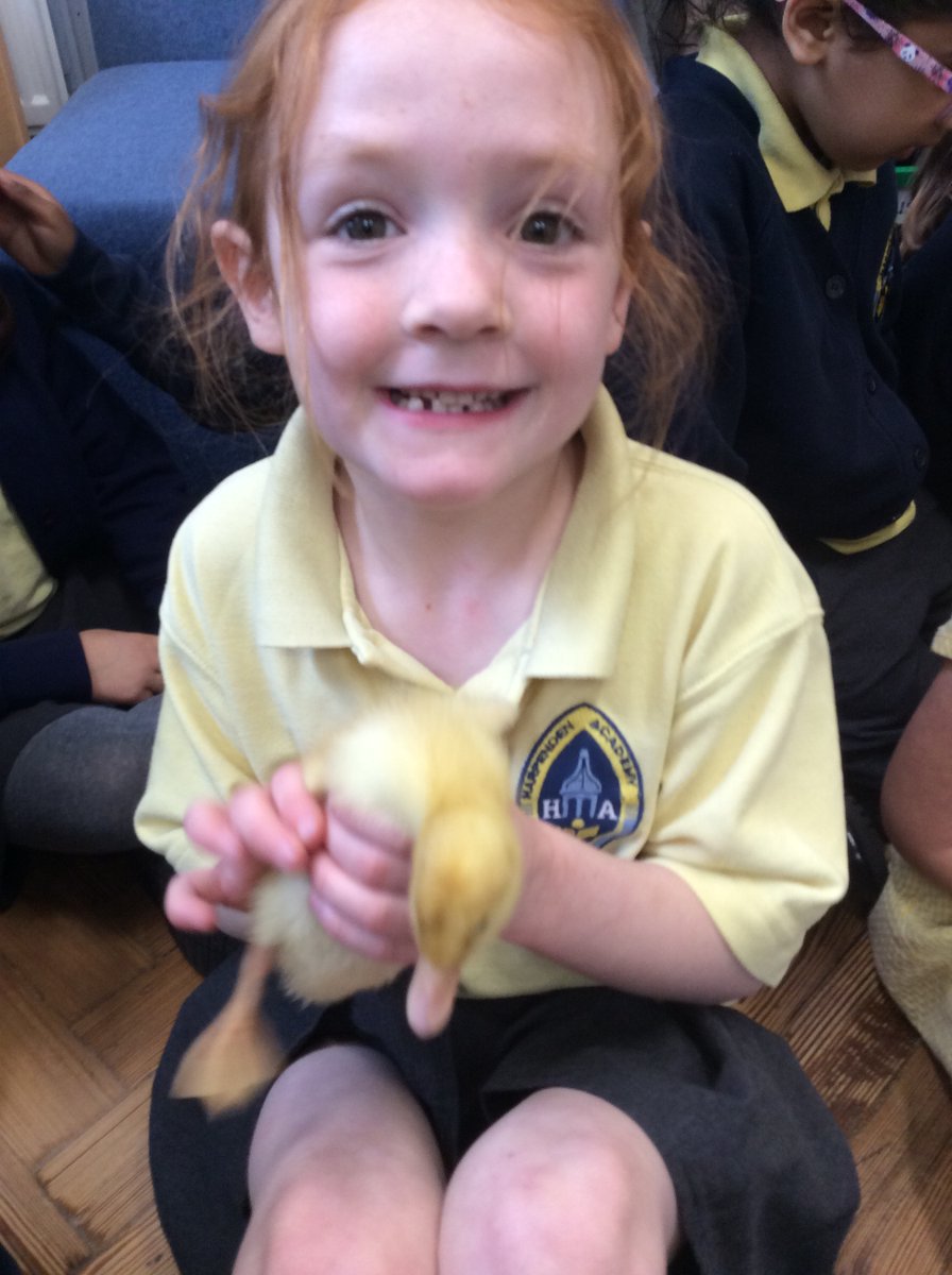 HarpAcademy1's tweet photo. Elmer class took a trip to the Ladybird's classroom today to learn about the ducks so that we could write a recount. We learnt lots of fascinating information and enjoyed a cuddle too #firsthandlearning #science #English https://t.co/CDPAvmCN0d