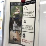 大学の研究室に貼ってある紙が面白い!エンジニアに話しかけていいタイミングまとめがこちら!