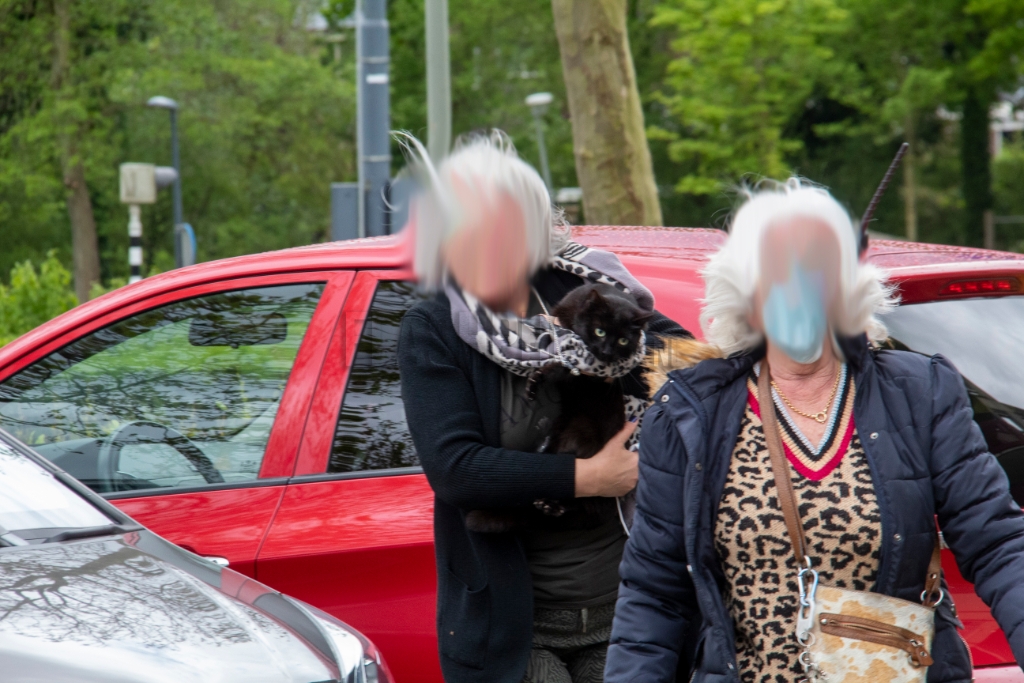 Schiedam - Hulp van brandweer voor kat onder motorcompartiment: ?..