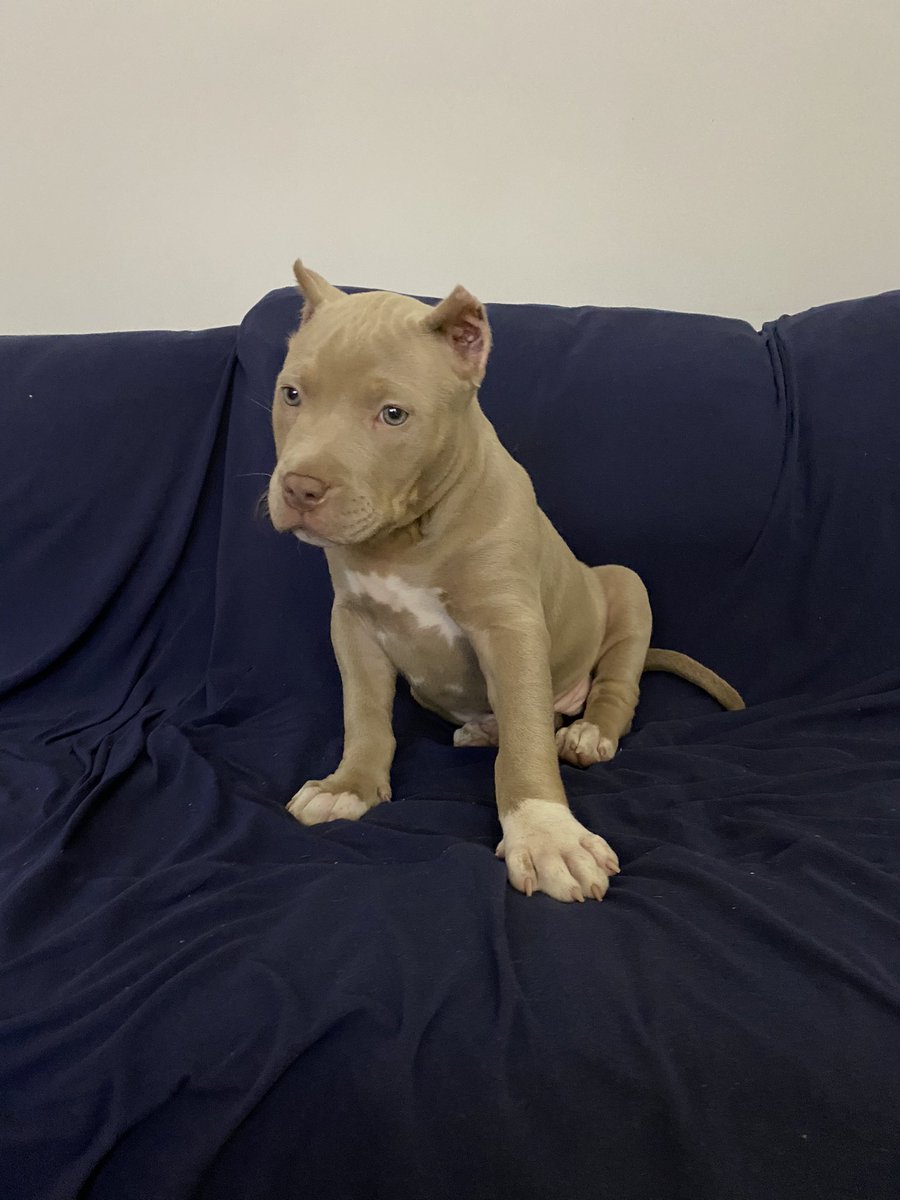 賈斯汀·鐘斯’s pics and videos