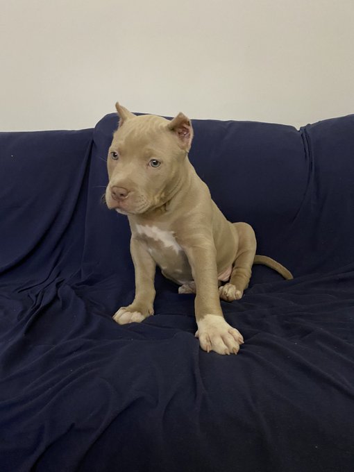 賈斯汀·鐘斯’s pics and videos